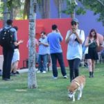 Como o Pokémon Go está mudando o mundo dos transportes