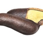 Os 7 Benefícios do Jatobá para Saúde