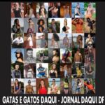 ESTAMOS SELECIONANDO GATAS E GATOS DAQUI PARA O ANO DE 2019