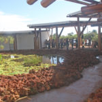 Inaugurada Escola Superior do Cerrado no Jardim Botânico