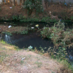 Água nossa de cada dia