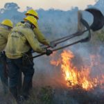 Sai resultado final do processo seletivo para contratação de brigadistas florestais