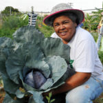Horta Comunitária Girassol ganha incentivo do GDF