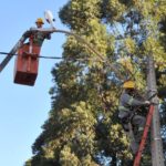 CEB fará manutenção em rede elétrica de três cidades