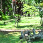 Decreto autoriza criação de fundo privado para gestão de recursos