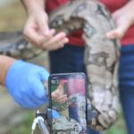 Zoo aposta no Instagram como ferramenta de entretenimento e educação ambiental