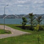 Dia Mundial do Meio Ambiente, oportunidade para reflexão