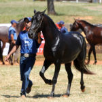 I COPA DEMARCHA DE BRASÍLIA 2021