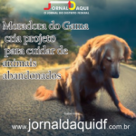 Moradora do Gama cria projeto para cuidar de animais abandonados