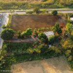 Um futuro para a alimentação saudável baseado na Agroecologia