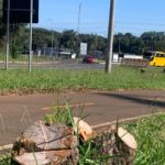 Sobre a obra do Viaduto no Jardim Botânico