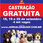 Castração Gratuita para Cães: 4 Mil Vagas Disponíveis