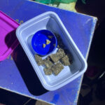 PCDF combate o tráfico e prende um homem em São Sebastião/DF