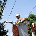 Mutirão extra de poda de árvores no Lago Sul