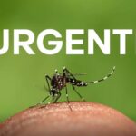 Dengue, a responsabilidade é de todos!