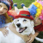 Carnapati 2025 terá programação gratuita para famílias e pets na ressaca de Carnaval