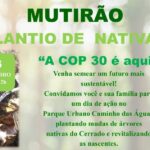 Multidão do Plantio vai mobilizar São Sebastião para recuperar o Cerrado
