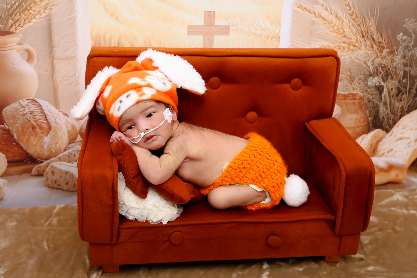 Pequenos protagonistas transformam rotina e emocionam no Hospital de Santa Mariaed